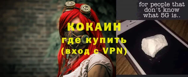 мяу мяу мука Аркадак