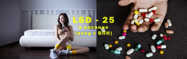 мяу мяу мука Аркадак