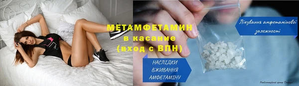 прущие грибы Армянск
