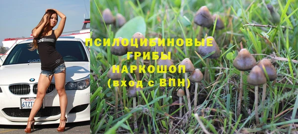 мяу мяу мука Аркадак