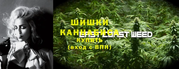 прущие грибы Армянск