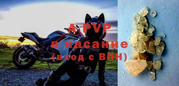 прущие грибы Армянск