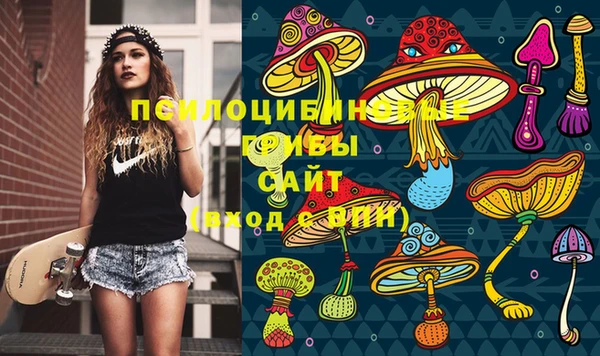 прущие грибы Армянск