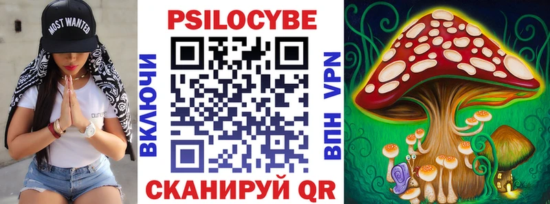 Псилоцибиновые грибы GOLDEN TEACHER  Купить закладки  Мензелинск 